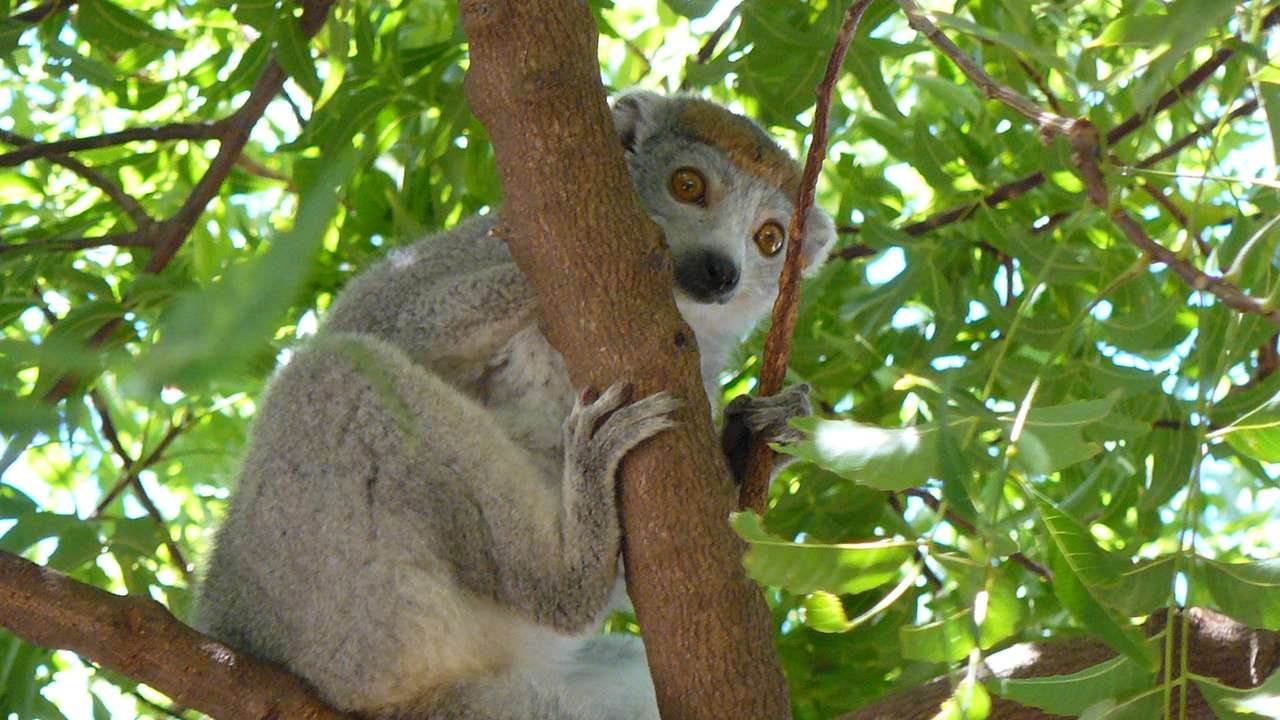 MADAGASCAR, Antsirabé