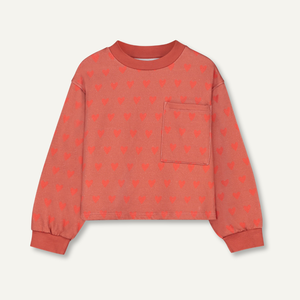 Sweatshirt bébé BABY MICHEL Orange Heart jersey
