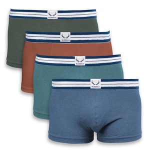 Pack de 4 boxers classiques (vert fonce, brique, vert ocean, bleu lune)