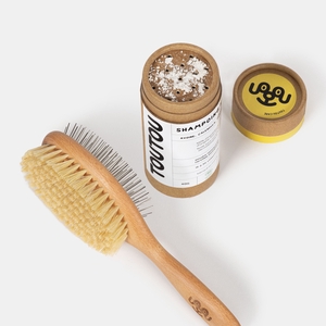Shampoing sec & Brosse double face