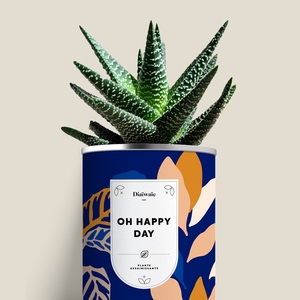 Plante - Oh Happy Day