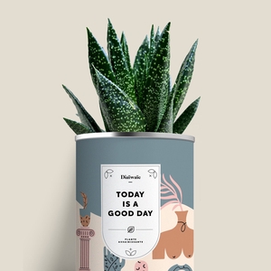 Plante - Today is a good day