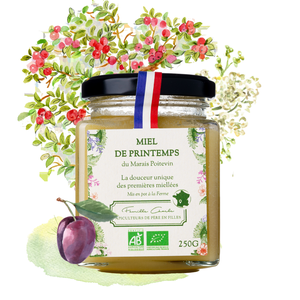 Miel de Printemps Bio