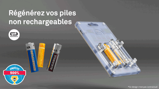 RegenBox : Régénérateur de piles alcalines