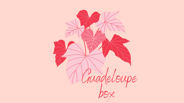 La Guadeloupe Box - Ulule