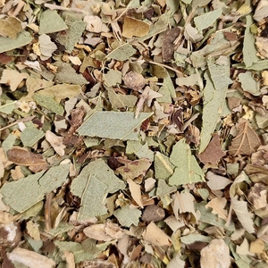 Glycémie normale - Tisane en vrac Bio 100 g